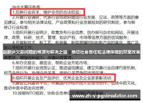 赵鹏谈欠薪问题的根源与解决之道：推动社会责任和法律保障的双重改革