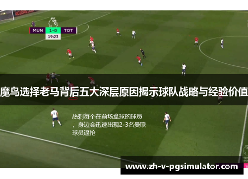 魔鸟选择老马背后五大深层原因揭示球队战略与经验价值