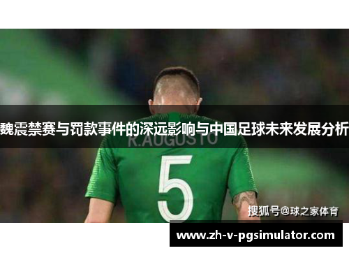 魏震禁赛与罚款事件的深远影响与中国足球未来发展分析