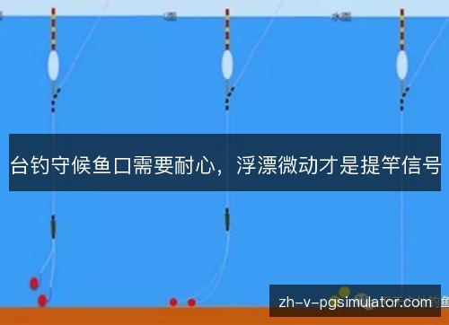 台钓守候鱼口需要耐心,浮漂微动才是提竿信号 台钓守候鱼口需要耐心,浮漂微动才是提竿信号